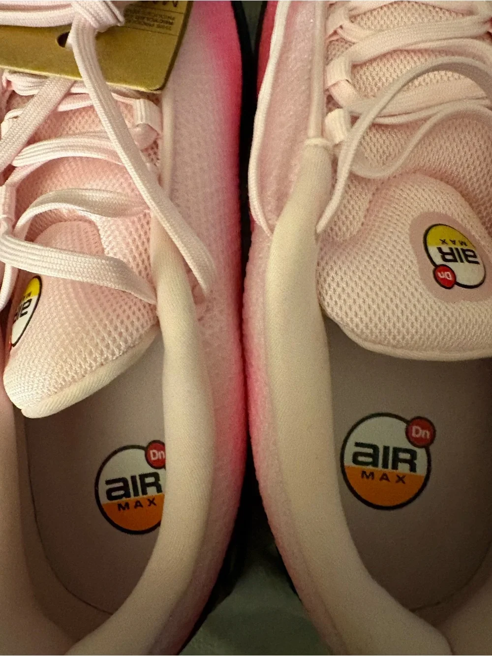 Nike Pink Ombre Air Max Women's Sneakers